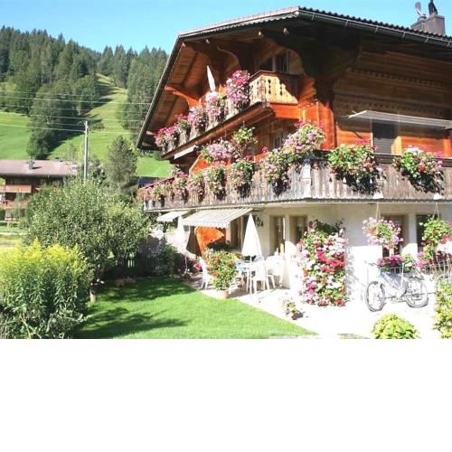 Apartment Steimandli