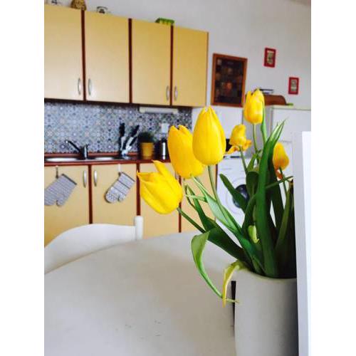 Apartment Stresovice