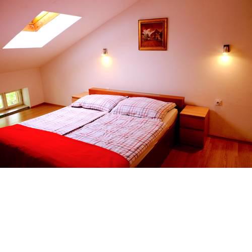 Apartment Tolminka