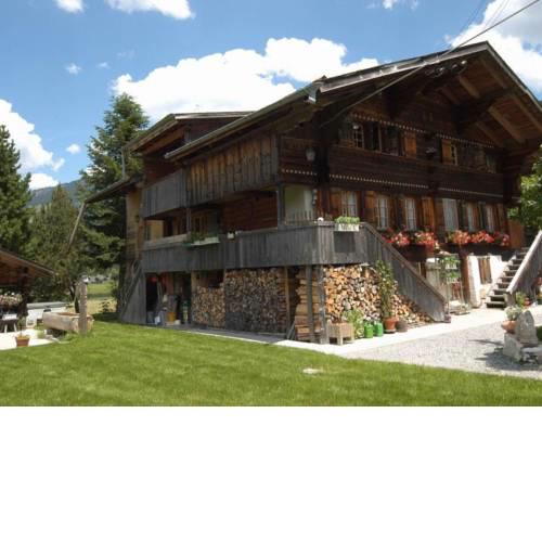 Apartment Trachsel-Huus
