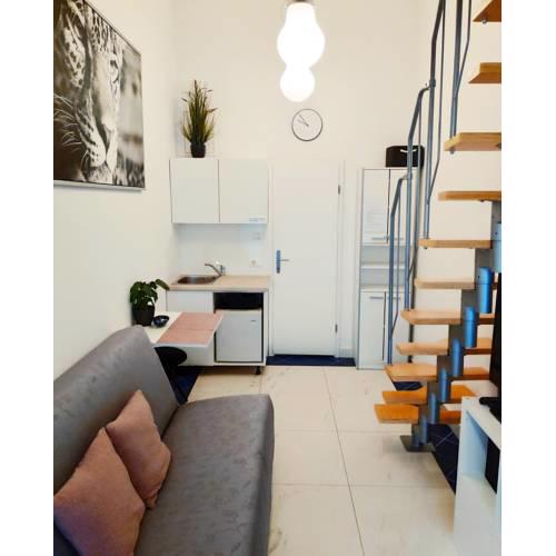 Apartment Trubar