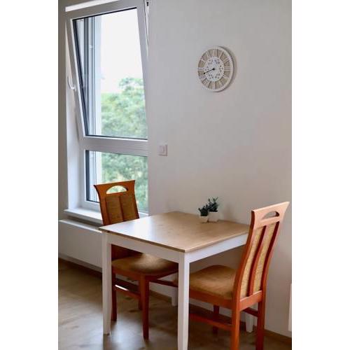 Apartment U Flóry