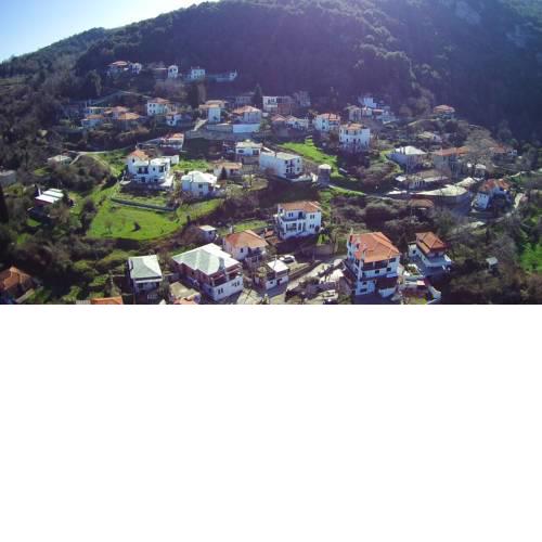 Apartment Veneto No 1