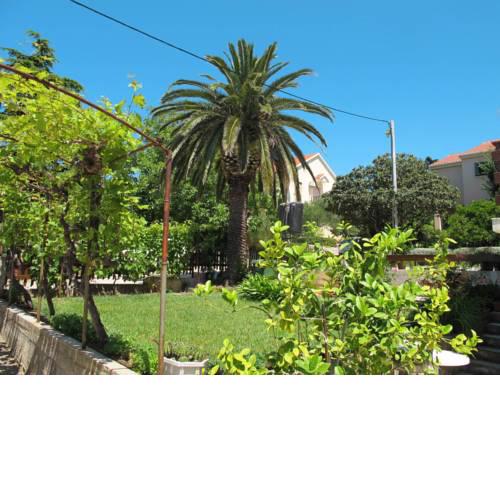 Apartment Venko (ZAD305)