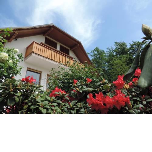 Apartment Villa Katarina