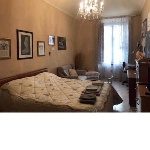 APARTMENT VINTAGE MUSEUM