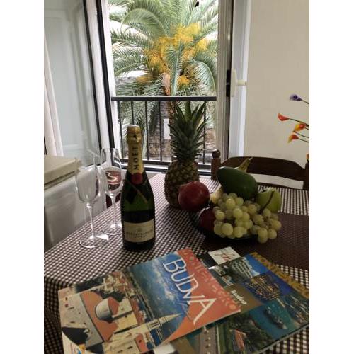 Apartment Viva