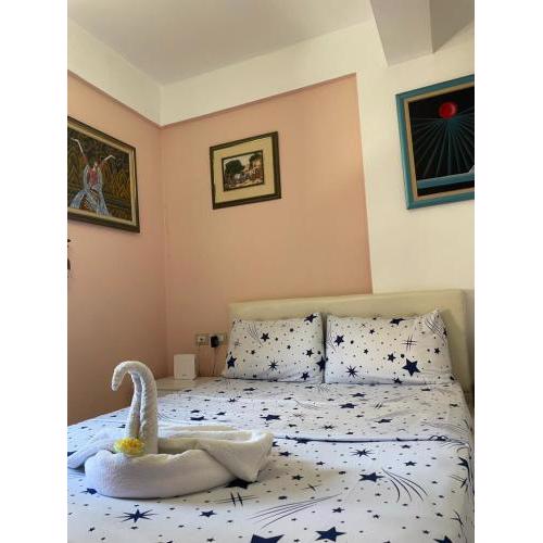 Apartment Vizion