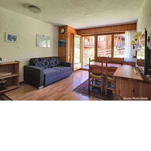 Apartment with 1 bedroom, WIFI, terrasse, pet accepted