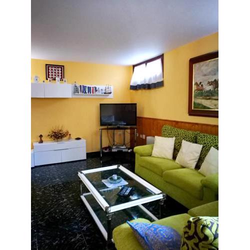 Apartment with 2 bedrooms in Buenavista del Norte with wonderful mountain view shared pool terrace 1 km from the beach