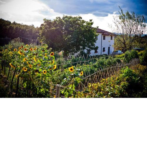 Apartment with privat garden
