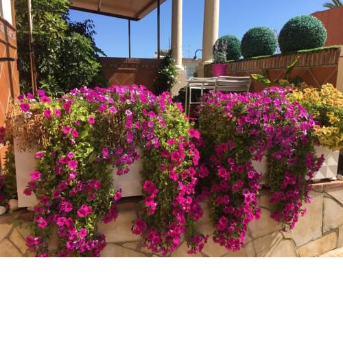 Apartment with private patio