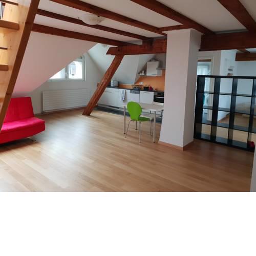 Apartment with rooftop garden