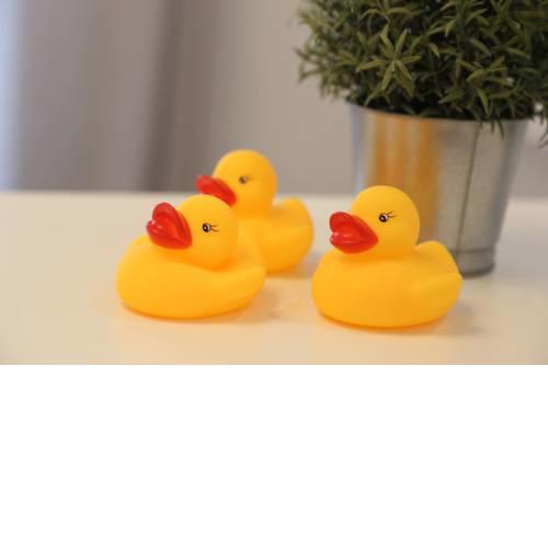 Apartment with yellow duck