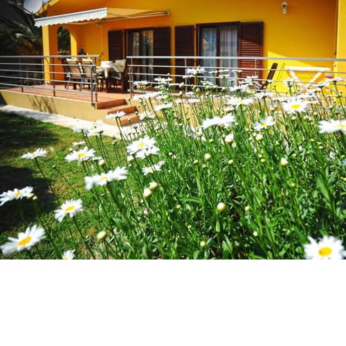 Apartment Yellow house