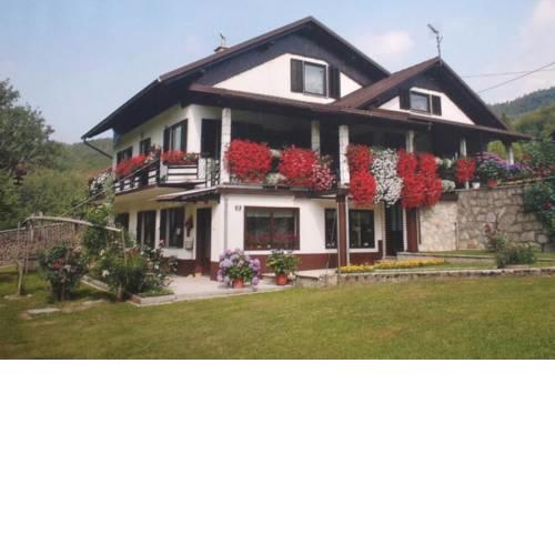 Apartment Žonta