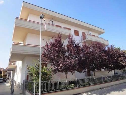 Apartments Alba Adriatica/Abruzzen 20768