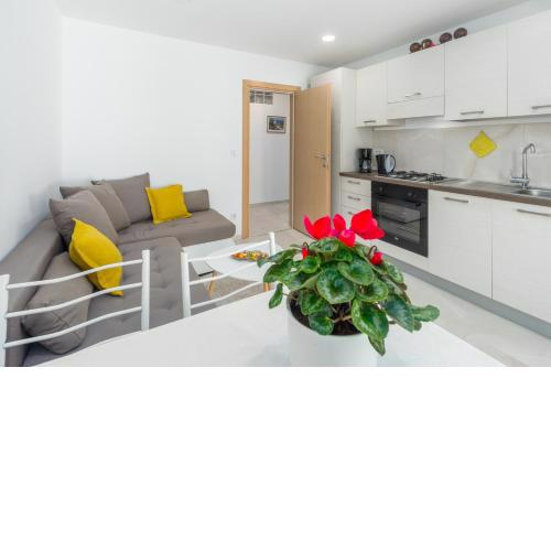 Apartments Alex Premium 100m from the beach
