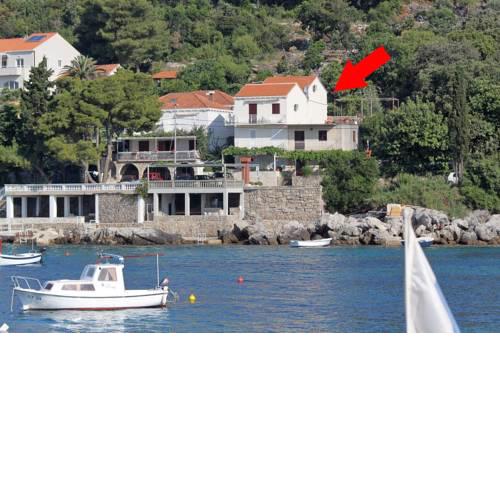 Apartments and rooms by the sea Molunat (Dubrovnik) - 9102
