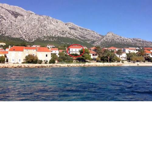 Apartments and rooms by the sea Orebic (Peljesac) - 4563