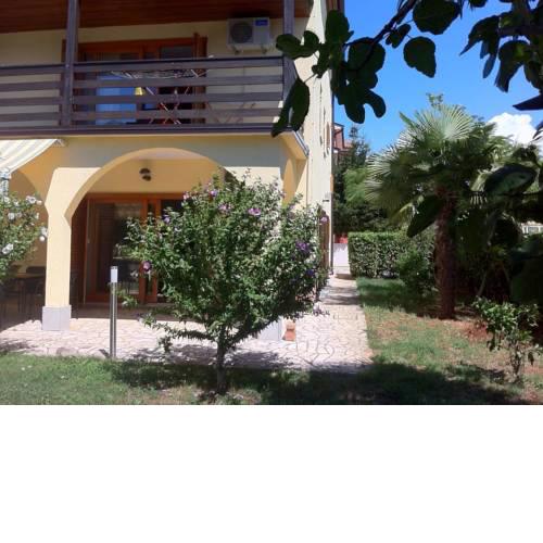 Apartments and rooms with a swimming pool Novigrad - 11242