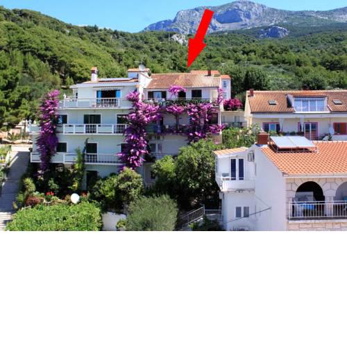 Apartments and rooms with parking space Podgora (Makarska) - 6790