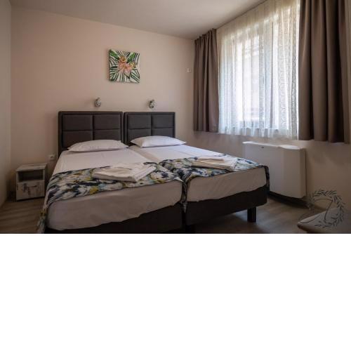 Апартаменти и Студиа Алекса Созопол Apartments and Studios Alexa Sozopol