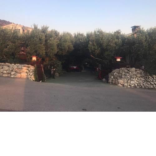 Apartments Antisa