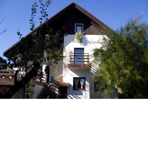 Apartments Anton
