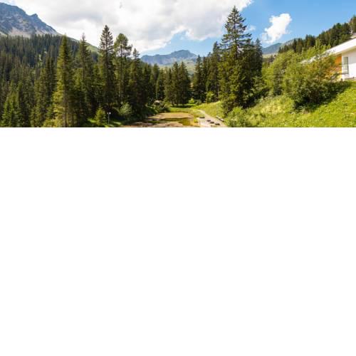 Apartments Arosa