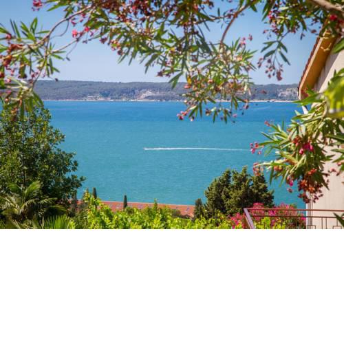 Apartments Bojana