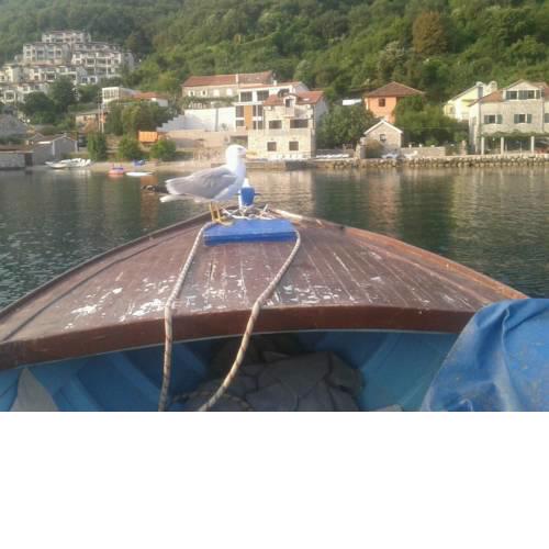 Apartments Bova