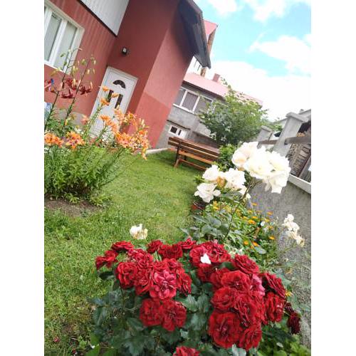 Apartments Bozovic