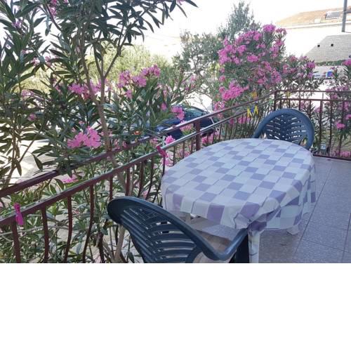 Apartments by the sea Bibinje (Zadar) - 5846