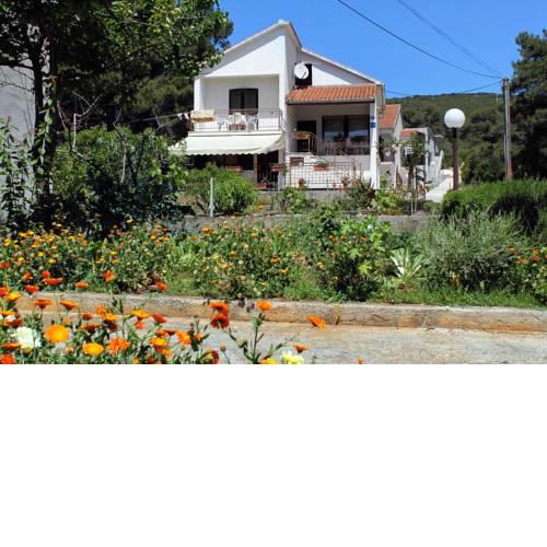 Apartments by the sea Brgulje (Molat) - 6242