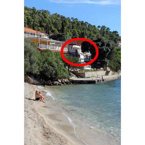 Apartments by the sea Brna (Korcula) - 4425