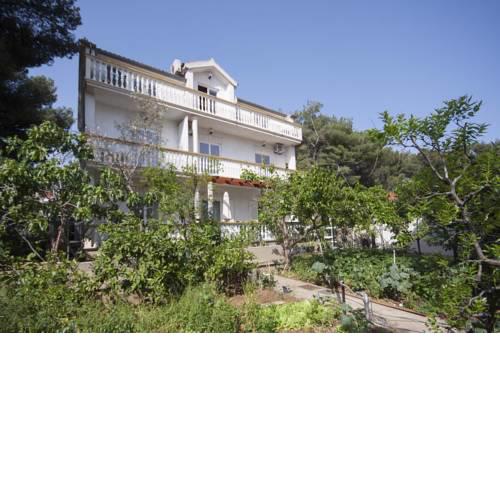 Apartments by the sea Brodarica (Sibenik) - 919