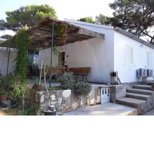 Apartments by the sea Cove Blaca (Mljet) - 4899