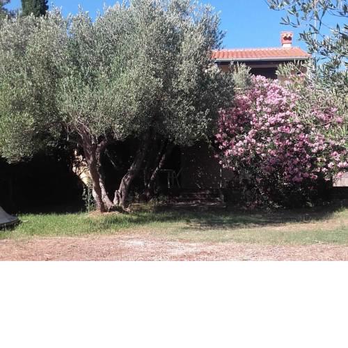 Apartments by the sea Cove Pogana (Cres) - 14172