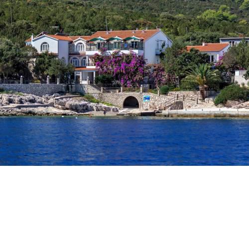 Apartments by the sea Cove Pokrivenik bay - Pokrivenik (Hvar) - 10419