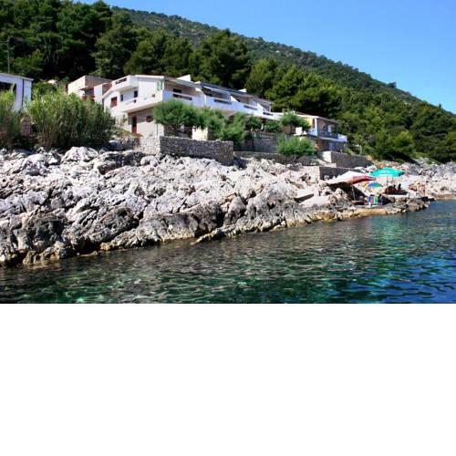 Apartments by the sea Cove Solotisa bay - Solotisa (Hvar) - 5610