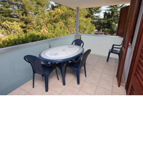 Apartments by the sea Dajla (Novigrad) - 3371