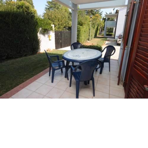 Apartments by the sea Dajla (Novigrad) - 3376