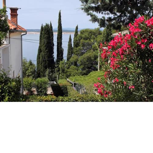 Apartments by the sea Dramalj (Crikvenica) - 2387
