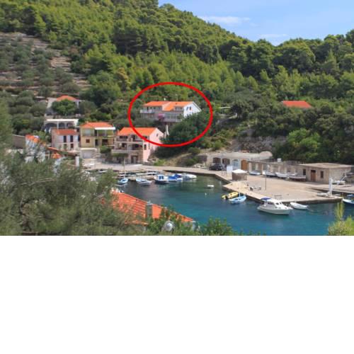 Apartments by the sea Grscica (Korcula) - 11809