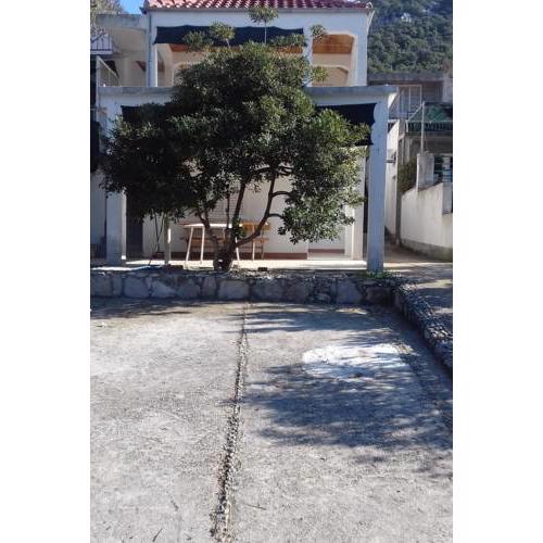 Apartments by the sea Luka Dubrava (Peljesac) - 14187