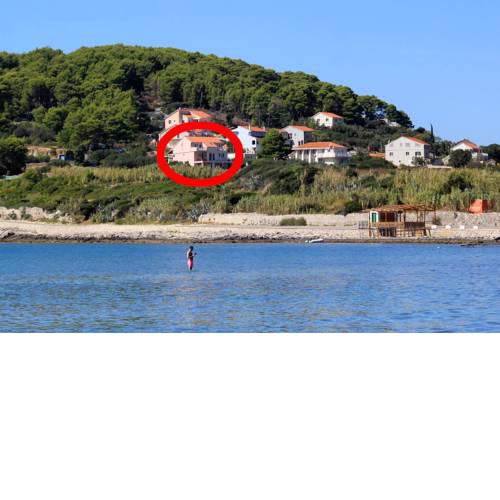 Apartments by the sea Lumbarda (Korcula) - 4353