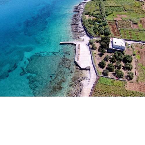 Apartments by the sea Lumbarda (Korcula) - 4358