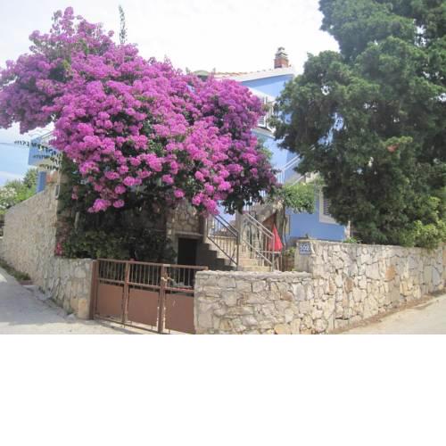 Apartments by the sea Maslinica (Solta) - 14748