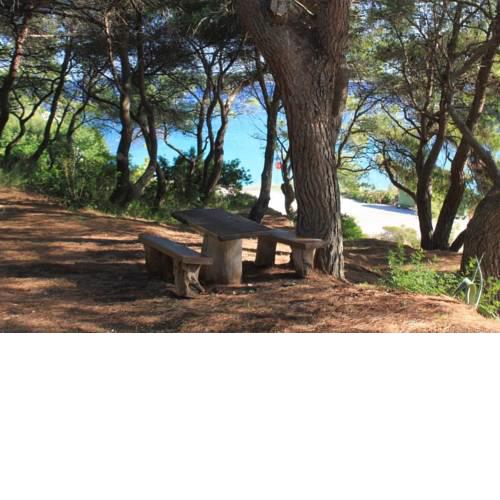 Apartments by the sea Milna (Vis) - 8490